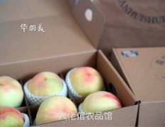 南汇水蜜桃是上海乃至全国闻名遐迩的特色水果