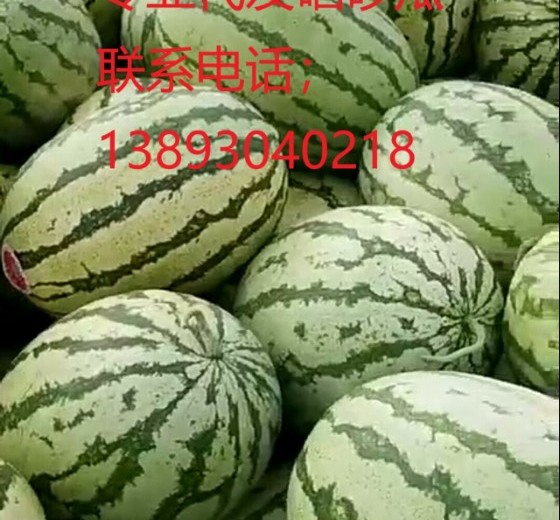 硒砂瓜价格