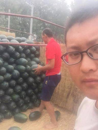 黑美人价格