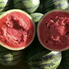 山东精品西瓜，京欣西瓜，东北圆瓜大量上市，付东西瓜专业代办代发团队。