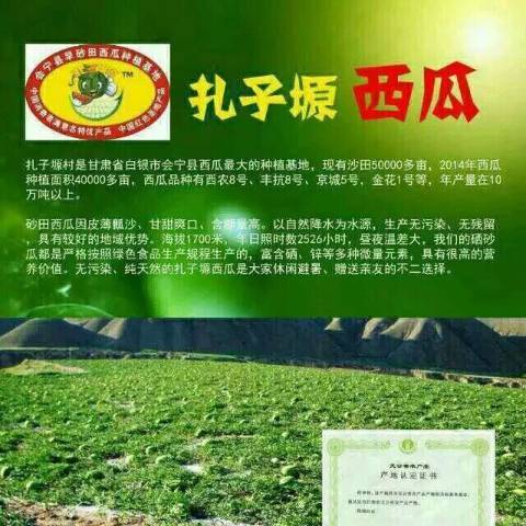 金城5号价格