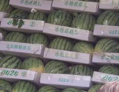 尉氏县西瓜以龙卷风，美都，8424，甜王为主一大量上市