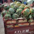 河南通许龙卷风可以代采购商实地考察