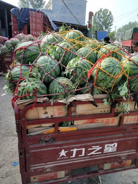 2018年河南通许龙卷风价格
