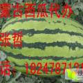 内蒙古乌拉特前旗，北方最大西瓜主要产区