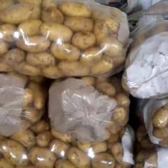 河南通许我们这里是万亩土豆，西瓜，大蒜