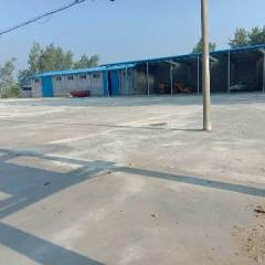 钟祥玉米今年的种植面积很大！价格随行情