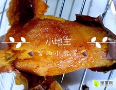 雄县永超红薯专业合作社
