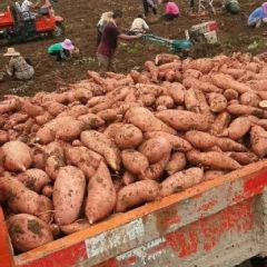 一次的合作，永远的朋友。