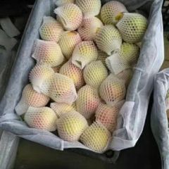 山东冠县大量供应，65以上嘎啦苹果