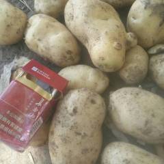 公主岭荷兰15，两晌地有需要的联系我