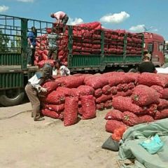 爱心货站收葱良心货站