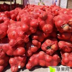 山西神池新明诚信合作社金红冠南瓜