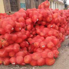 2018神池南瓜 全国最大的南瓜种植基地
