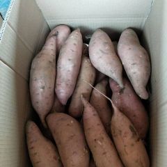 河北红薯大量上市，欢迎新老客户前来订购。