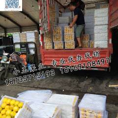 宁夏四季鲜农产品综合批发市场