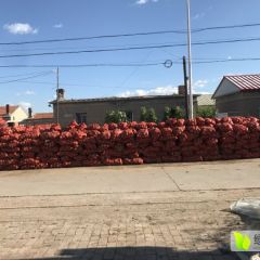 科尔沁洋葱地头看葱给价什么规格都有