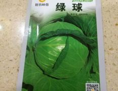 韩国世农绿球甘蓝一代交配原种，正品行货假一