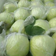 山东平度 膜袋黄金帅苹果供应 产地代办