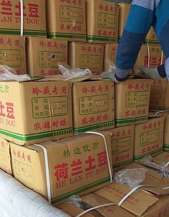 供应:山东省滨州市惠民县现在有2-4量土豆