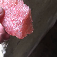 江洲左州红心柚柚子2到5斤 有两万斤左右