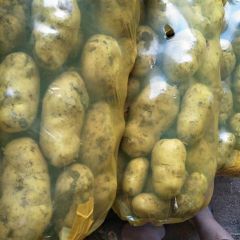 昌邑2018年昌邑冷库土豆大量开库