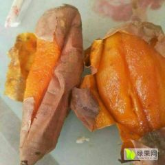 烤薯专用～蜜薯大量供应