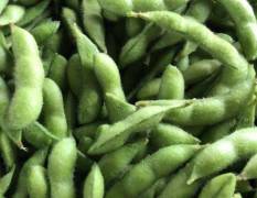 江苏新沂蒜茬毛豆大量上市，品种有翠绿宝，绿宝石等