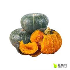 青州南瓜 小南瓜颜色品相好，成熟老一点的