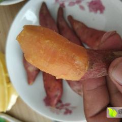 长期求购西瓜红小薯 烟薯25小薯