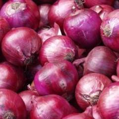 江南农副产品批发市场的甘肃洋葱