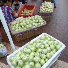 寒亭黄金帅苹果大量上市货源充足价格便宜