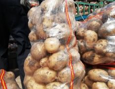 黑龙江延薯、希森、尤金土豆大量供应