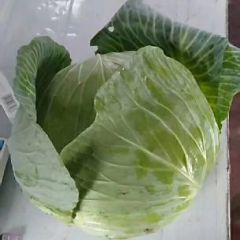 甘蓝，扁包，白菜大量供应中
