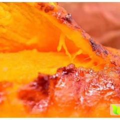 黄河故道沙土地 鄃津蜜薯