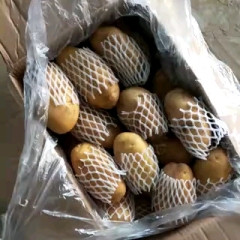 山东济南平阴肥城冷库精品荷兰十五土豆大量供应