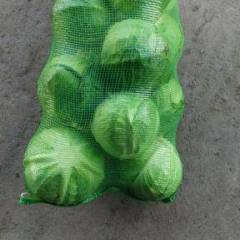 山西朔城卷心菜甘蓝 信誉至上！质量可靠！