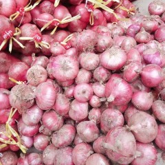 河北定州，优质冷库二红洋葱