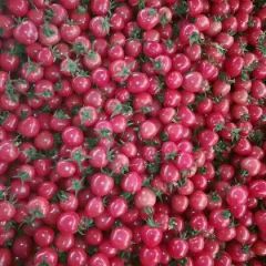 圣女果的主产区，绿色蔬菜瓜果生产基地！