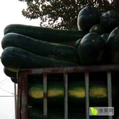 冬瓜很好，保证质量，尽快发货需要多少