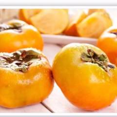 山东/烟台/龙口富有柿子厂家批发销售-龙口市金