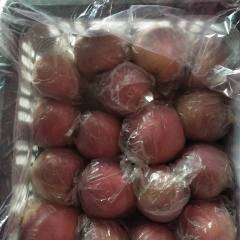 大荔县常年代办各种水果