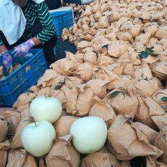 大家有兴趣的可以和我联系，我将会做到让您满