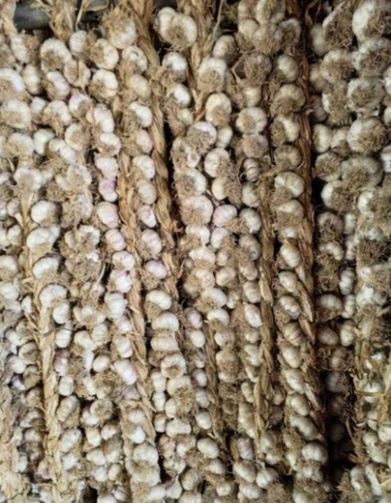 供应:山东临清大蒜辫子蒜分级明细