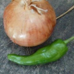 齐齐哈尔丰宝村大量洋葱出售