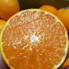 爱媛38大量上市啦，味甜多汁