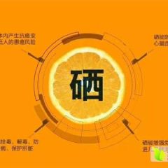 舒氏果园，深山中苗族人的长寿果