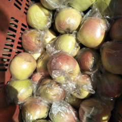 辛集大量王林苹果，斗南苹果