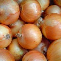 黑龙江宁安黄皮洋葱常年出售俄罗斯