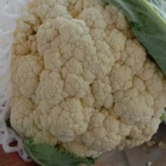 有机散花，上市了，欢迎电话联系